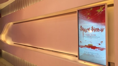 廣西河池稅局懸掛式案例展示